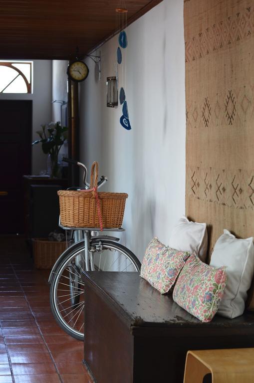 A Casa Da Arvore Bed and Breakfast Vila Nova de Milfontes Exteriör bild