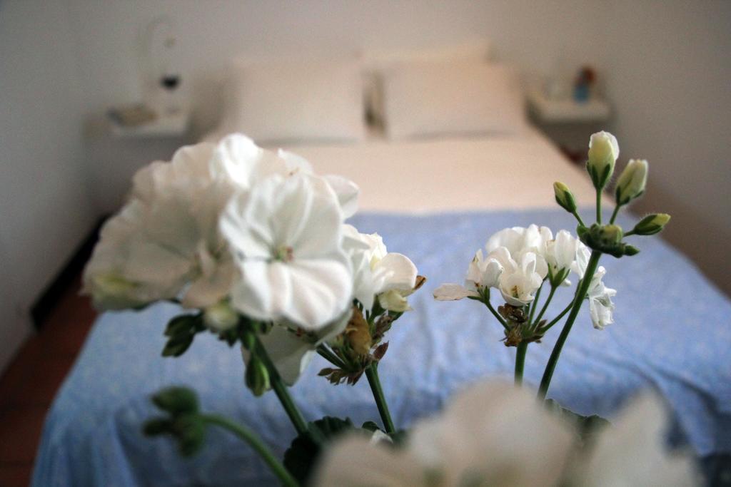 A Casa Da Arvore Bed and Breakfast Vila Nova de Milfontes Rum bild
