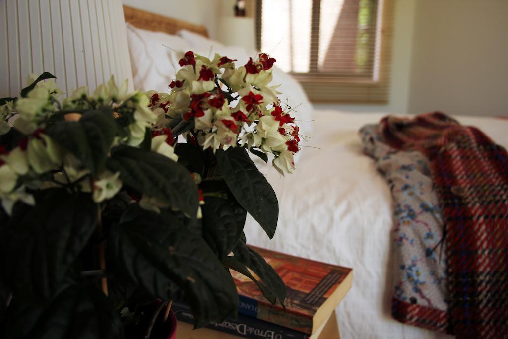A Casa Da Arvore Bed and Breakfast Vila Nova de Milfontes Rum bild